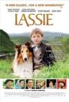 proprieta\lassie\lassie.jpg